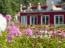 "Zeit im Garten"